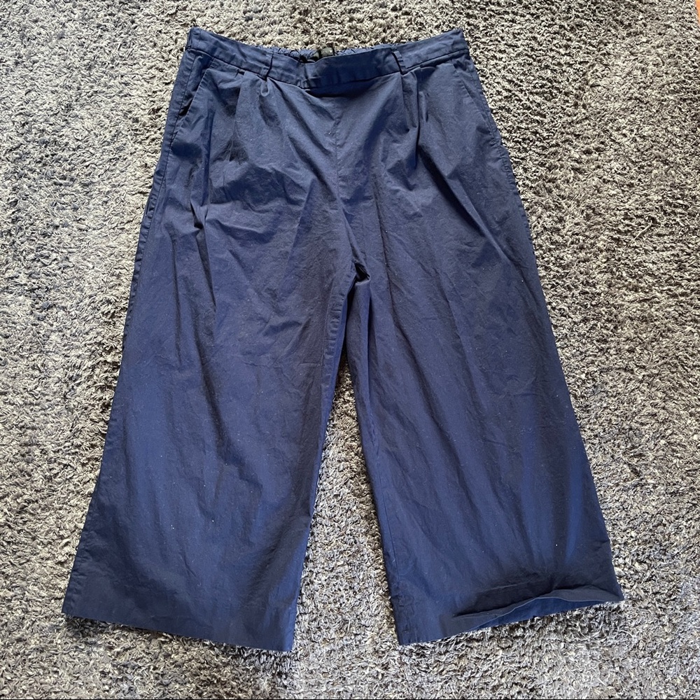 J. Crew Cropped Wide Leg Pants